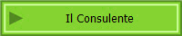 Il Consulente